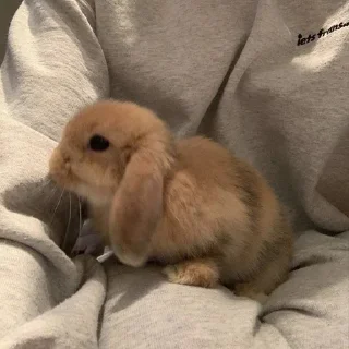❣️
