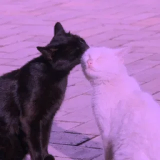 💜