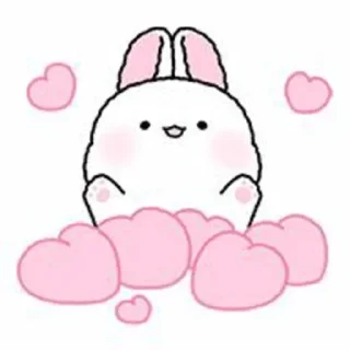 🐇
