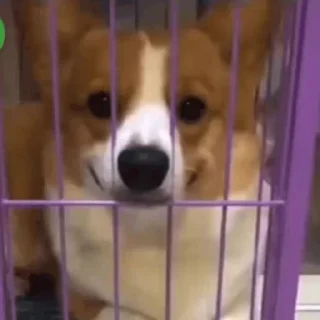 🙂