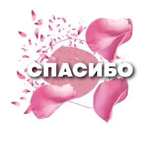 🌹