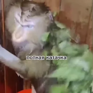 🥵