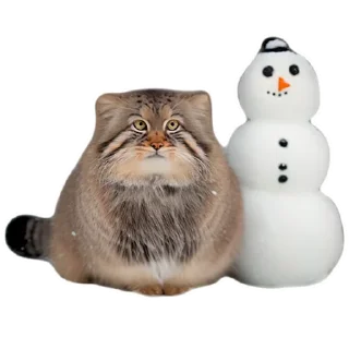 ☃️