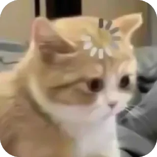 🫥