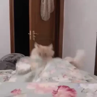 😠