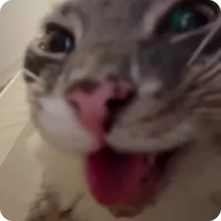 🤨