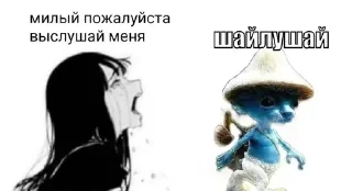 🐱