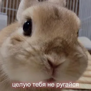 💋