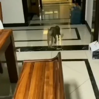 🤩