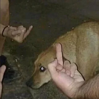 🖕