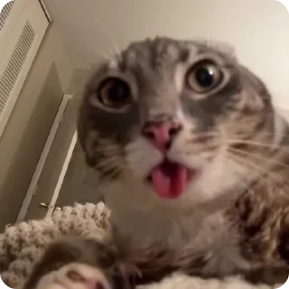 🤯