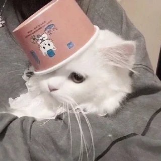 😓