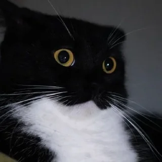 😳
