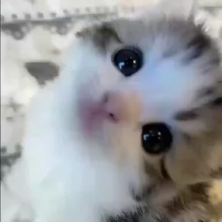 😚