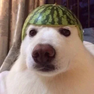 🍉
