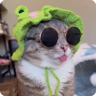 🐸