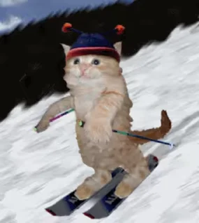 🎿