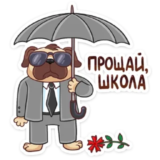 ☔️