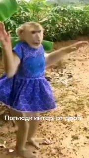 🙈