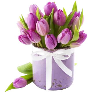 💐