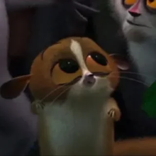 😿