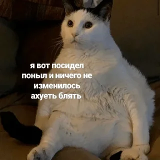 🧐