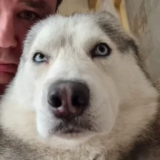 🌟