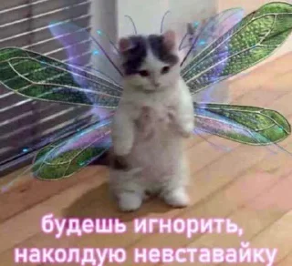 😤