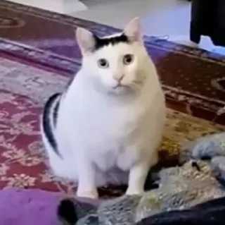 😐