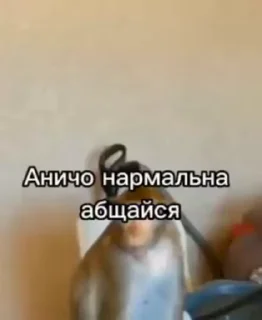 🌟