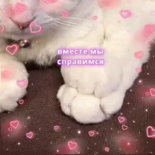 💜
