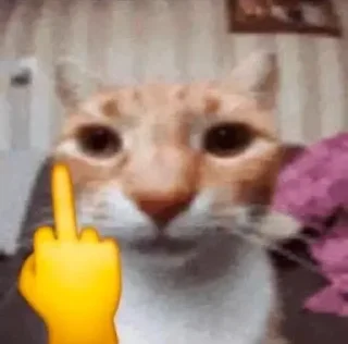 🙄