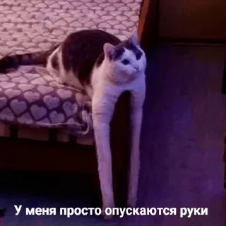 🙁