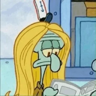 🧽