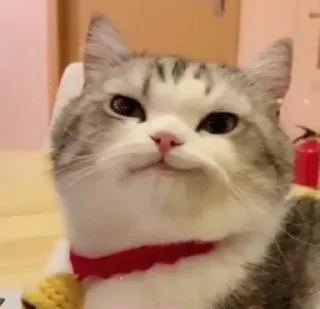 😏