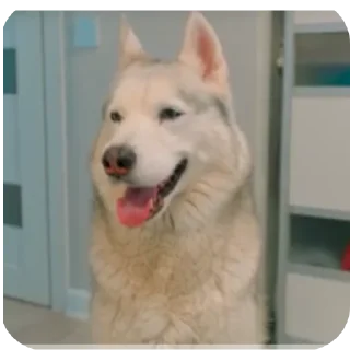 👍
