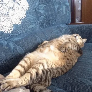 😴