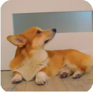 👍
