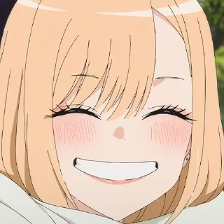 ✨