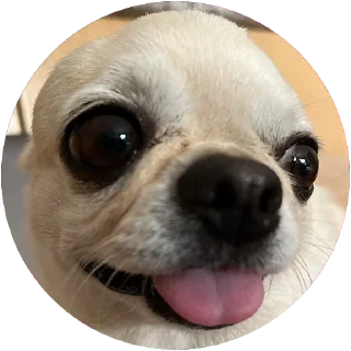 😛