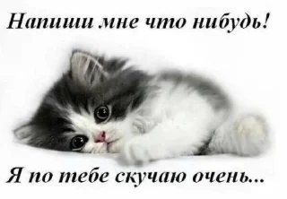 🥺
