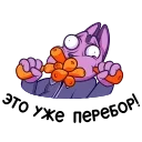 😳
