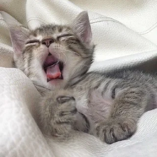 😍