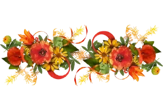 🌺