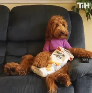 🍿