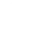 🔒