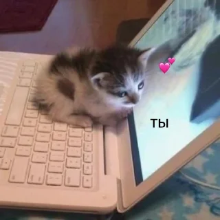 💗