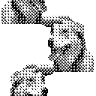 🐶
