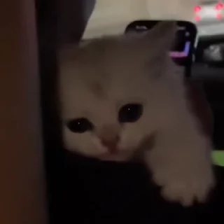 😓