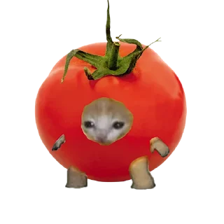 🍅